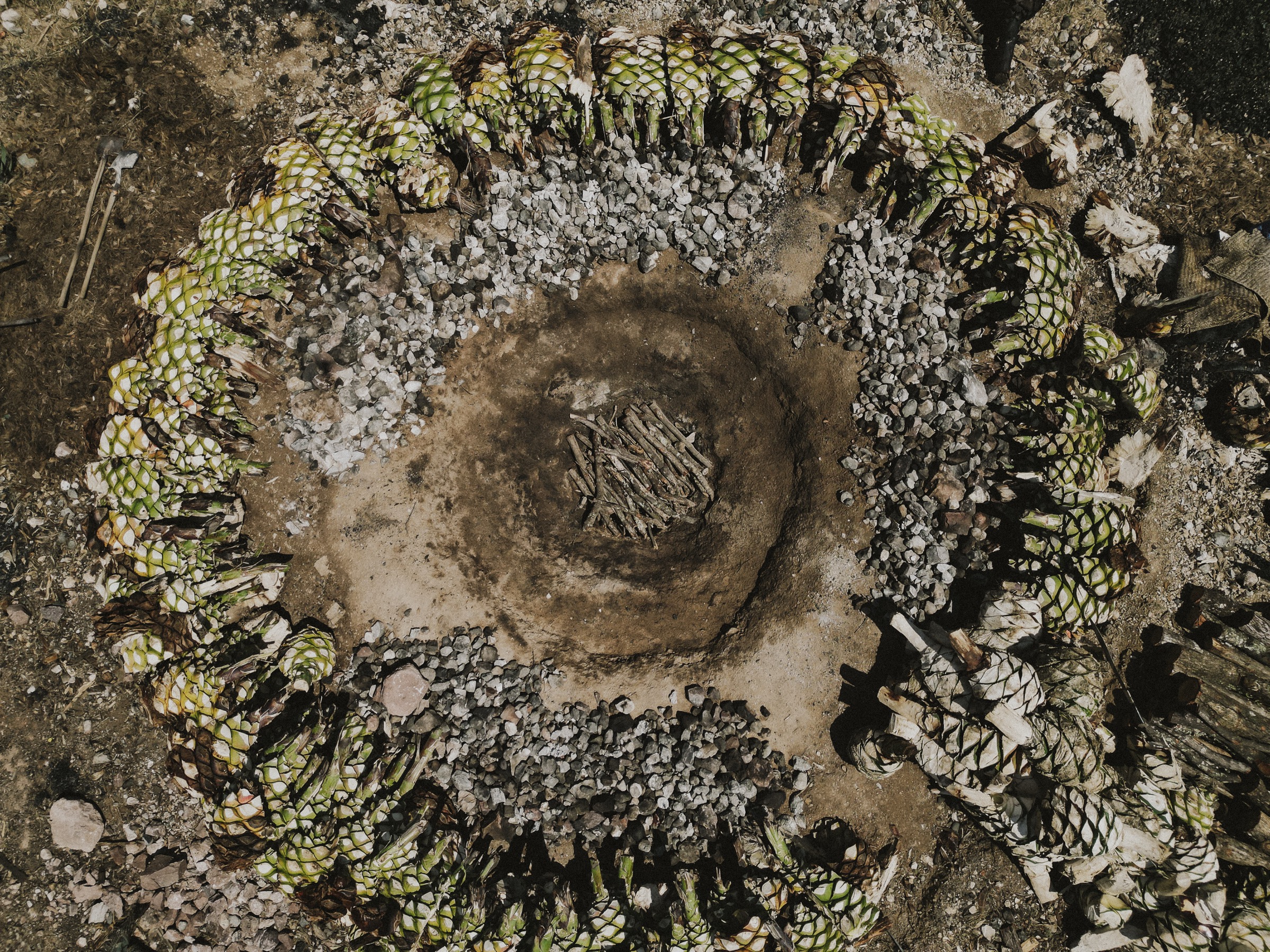 Espadín agave loaded into an underground conical oven for the eight-day roast at Lalo's family palenque, Miahuatlán, Oaxaca