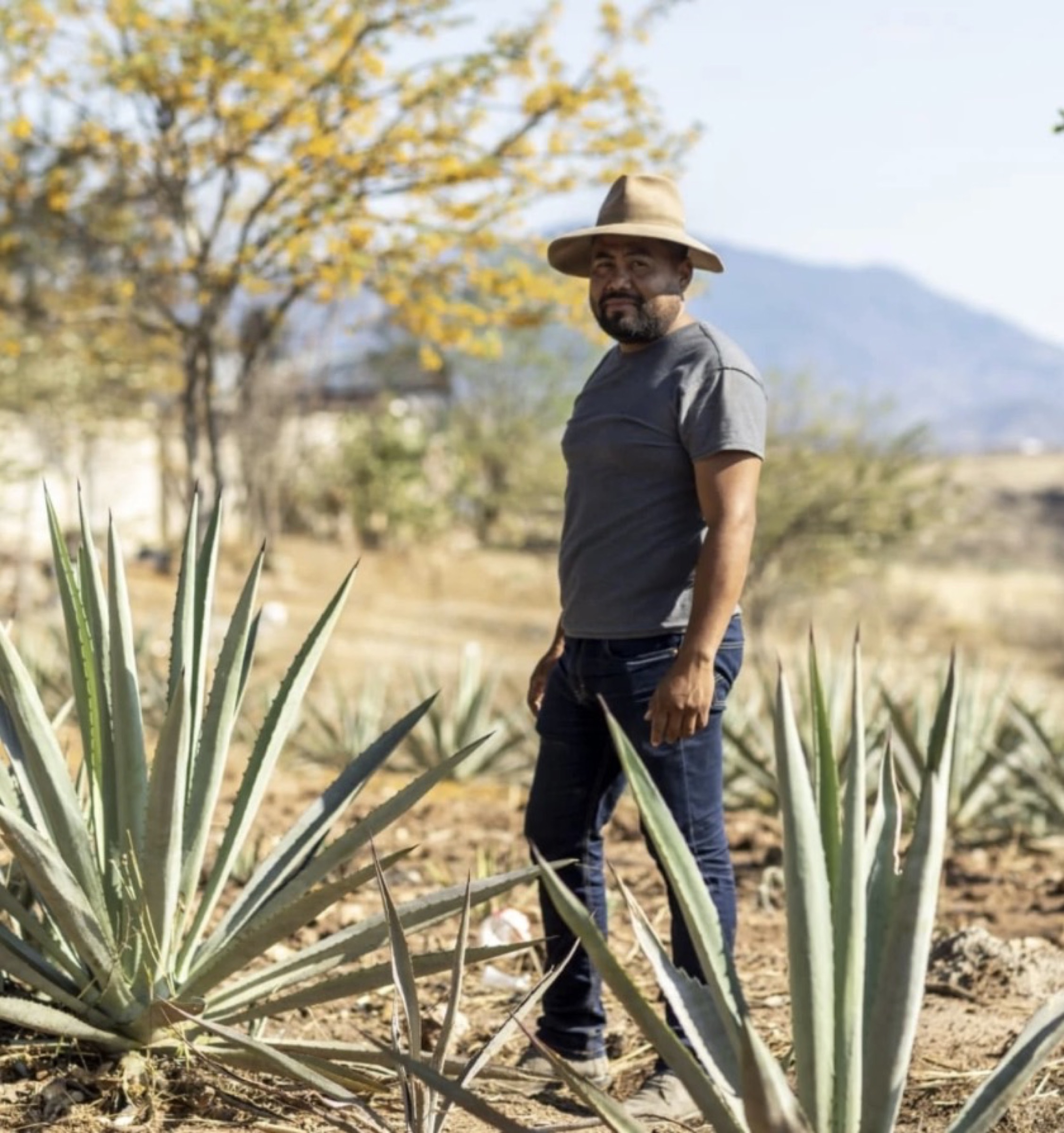 Eduardo 'Lalo' Pérez Cortés in the agave field at the family palenque, Miahuatlán, Oaxaca