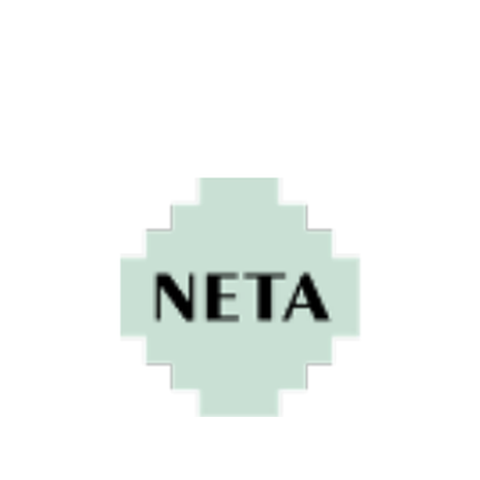 NETA — small-batch mezcal from Logoche, Oaxaca